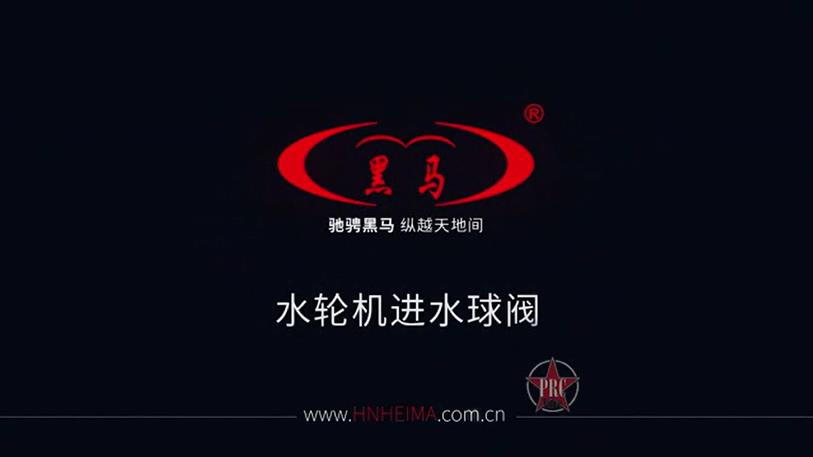 水轮机进水球阀